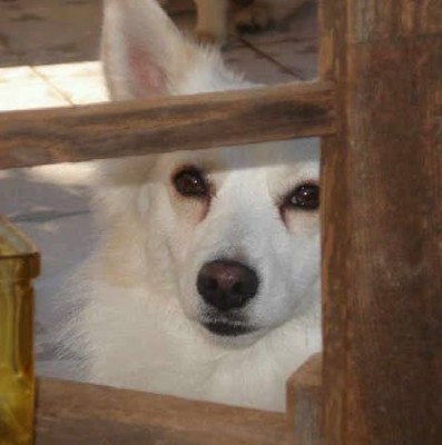 1489253_10202669666693531_259311076_n.jpg (19.25 KiB) 2567 mal betrachtet 1489253_10202669666693531_259311076_n.jpg