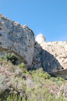 Letzter Blick hoch zum Turm (Rückweg)