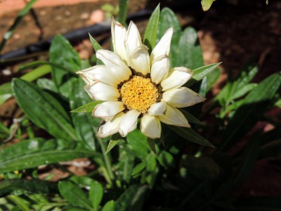 DSCN3635.JPG