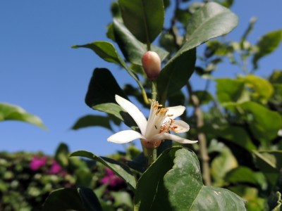 DSCN3634.JPG