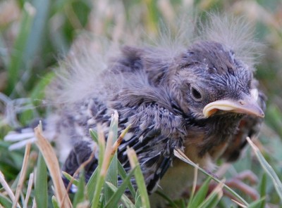 1 DSC_0963.JPG (541.63 KiB) 4946 mal betrachtet Vor einer Woche
