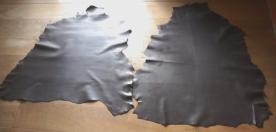 Schaf.JPG