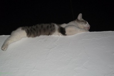 DSCF2343.JPG