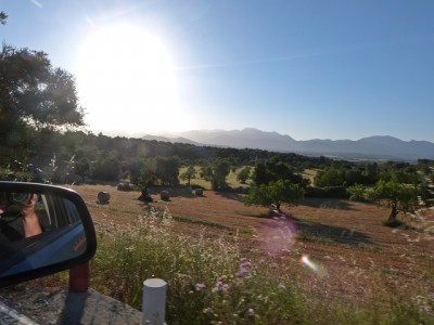 P1270178.JPG