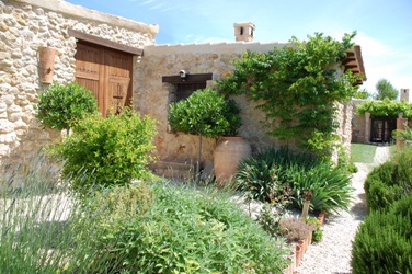 Ich habe vor vielen Jahren diese mediterranen Kräuter rund ums Haus gepflanzt und hatte noch nie Ungeziefer.