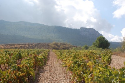 Sierra del Carche (Murcia)