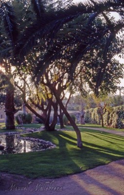 Parque Nou-1 heute archäologisches Museum.jpg