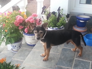 20140815_200108.jpg