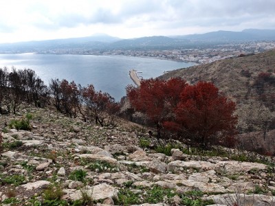 P1360756.JPG