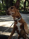 DSC00808.JPG