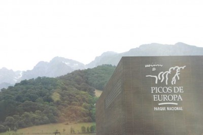 2 DSC_1337 Nationalpark - Schnee.JPG (94.03 KiB) 7560 mal betrachtet Nationalpark - Auf den Gipfeln liegt Ende Juni noch Schnee