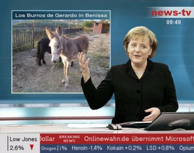 n-bild.jpg