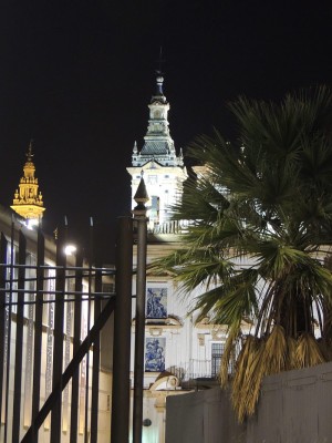 DSCN8228.jpg