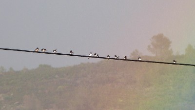 P1400034.JPG