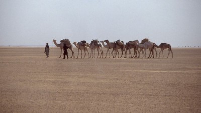 Karawane in der Sahara nördlich von Agadez, Niger<br />von Albert Backer (Eigenes Werk) <br />[CC BY-SA 3.0 (http://creativecommons.org/licenses/by-sa/3.0)], via Wikimedia Commons