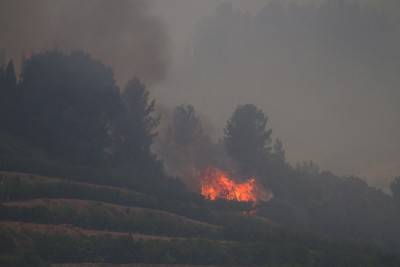 Berge südwestlich bis westlich um Pego herum. Hier sieht man wie kleine Bereiche Feuer gefangen haben, da besonders viel hoch brennbares Holz auf einer Stelle war. Ähnliches habe ich auch an anderer Stelle gesehen, wo es sich aber um einen größeren Hof gehandelt hat, der zum Glück nicht abgebrannt ist, nur der &quot;Holzhaufen&quot; und ein wenig drumherum. Auf einer Orangenplantage konnte man sehen, wie sich etwa zwei Dutzend Mitarbeiter mit Warten die zeit totgeschlagen haben, womöglich um im Ernstfall eingreifen zu können. Verständlich, wenn des Feuer nur 200-300m entfernt ist.