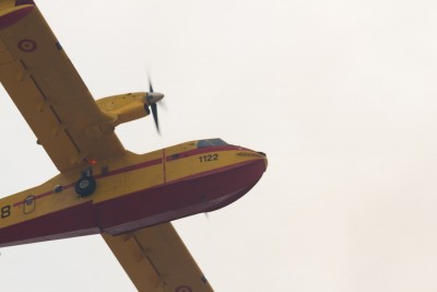 Fuego2-4.jpg