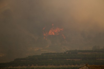 Das ist so die Grenze, wie weit das Feuer gekommen ist, kurz bis vor die Orangenplantagen.