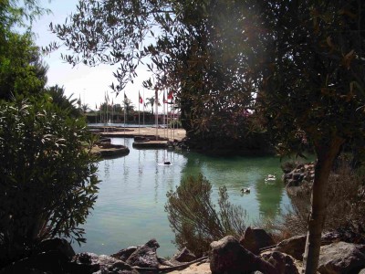 torre-wasser2.jpg