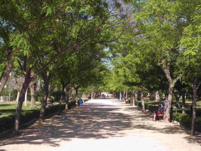 torre-park.jpg