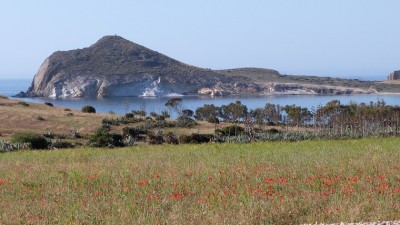 Playa de los Genoveses