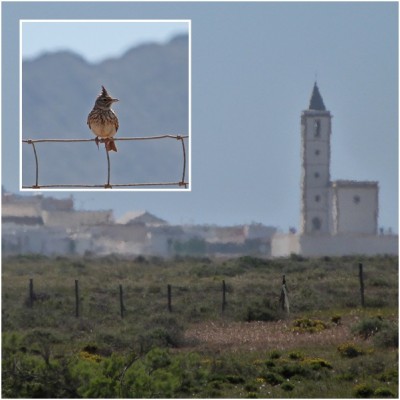 In der Hitze flimmert die Kirche von Almadraba