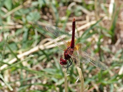 P1450147.JPG