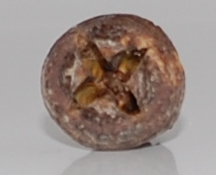 an dieser Stelle noch einmal eine andere Draufsicht