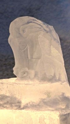 K640_DSC07260_Kopie.JPG