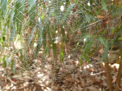 P1460233.JPG