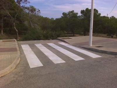 zebra.jpg