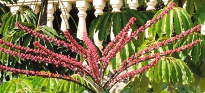 Wer kennt mich.JPG (166.02 KiB) 5990 mal betrachtet Wer kennt mich?