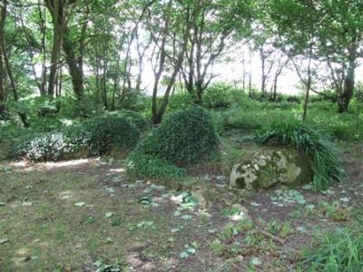 Lost Gardens - Mudmaid.jpg