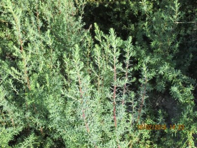was ist das?