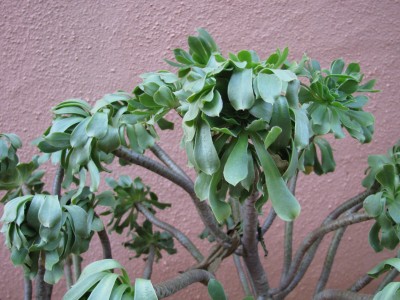 IMG_5678.JPG