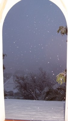 Les Murtes im Schnee