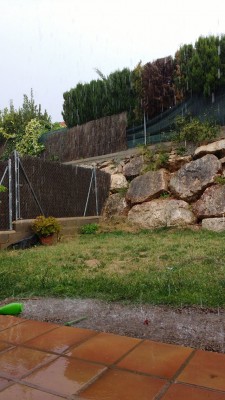 regen1.jpg