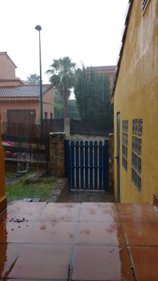 regen2.jpg