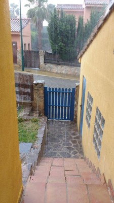 regen3.jpg