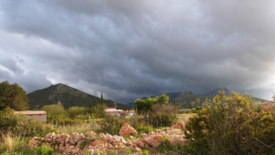P1520266.JPG
