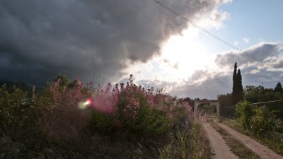 P1520267.JPG