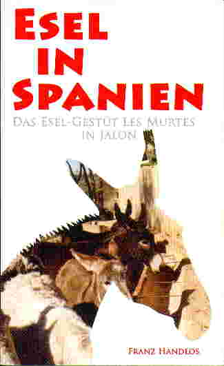 esel in spanien.jpg