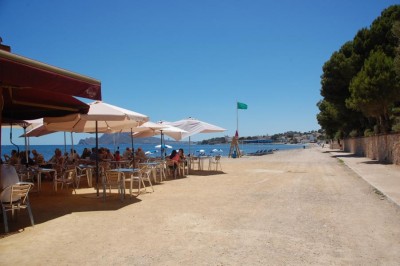 Hund 4 Chiringuito DSC_0016.JPG (128.07 KiB) 8243 mal betrachtet Chiringuito