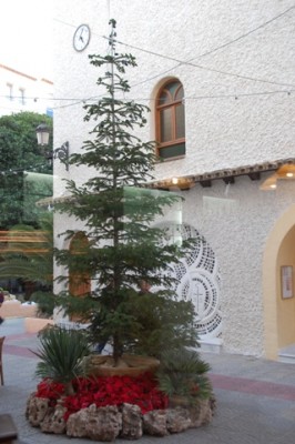Weihnachtsbaum in Moraira.JPG (128.28 KiB) 20984 mal betrachtet Weihnachtsbaum in Moraira