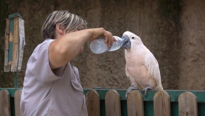 Auch Paco hat Durst.