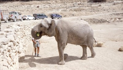 Auch für mich gibt es eine Wassermelone.