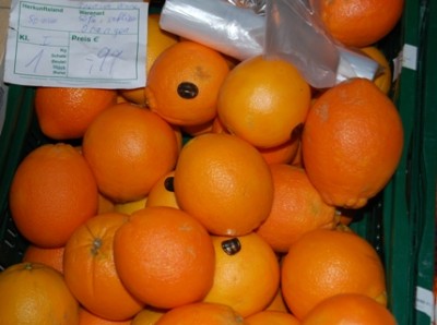 Preisschild: Süße, saftige Orangen aus Spanien, Premium-Qualität 1 kg 0,99 € (zum Aussuchen)