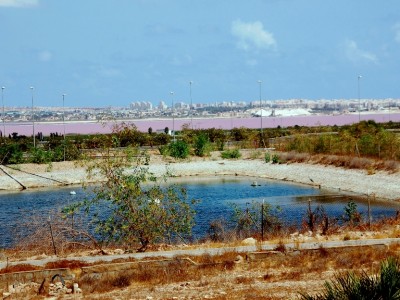 Blick von Miguel de las Salinas: <br />Im Hintergrund der Salzsee, <br />zum Vergleich im Vordergrund die Farbe eines landwirtschaftlich genutzten Wasserspeichers