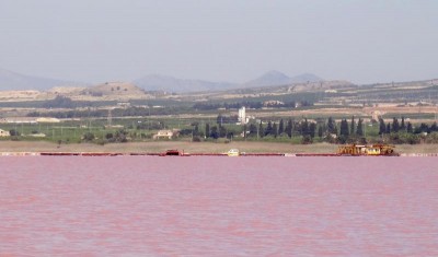 Salinas de Torrevieja (Foto Akinom)