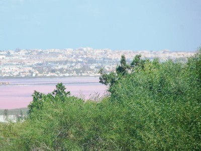 Blick auf die &quot;rosa Lagune&quot; von Torrevieja